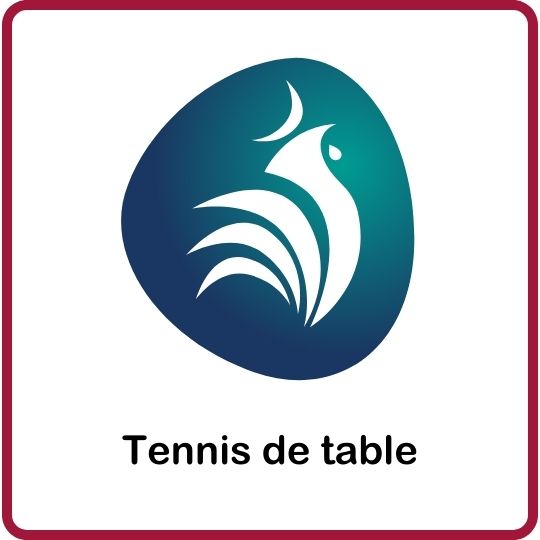 Vignette représentant le tennis de table