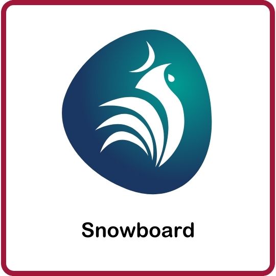 Vignette représentant le snowboard