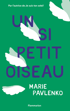 Un si petit oiseau, de Marie Pavlenko