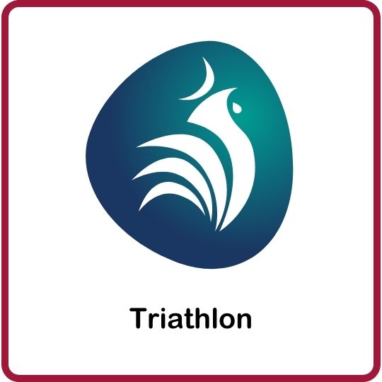 Vignette représentant le triathlon